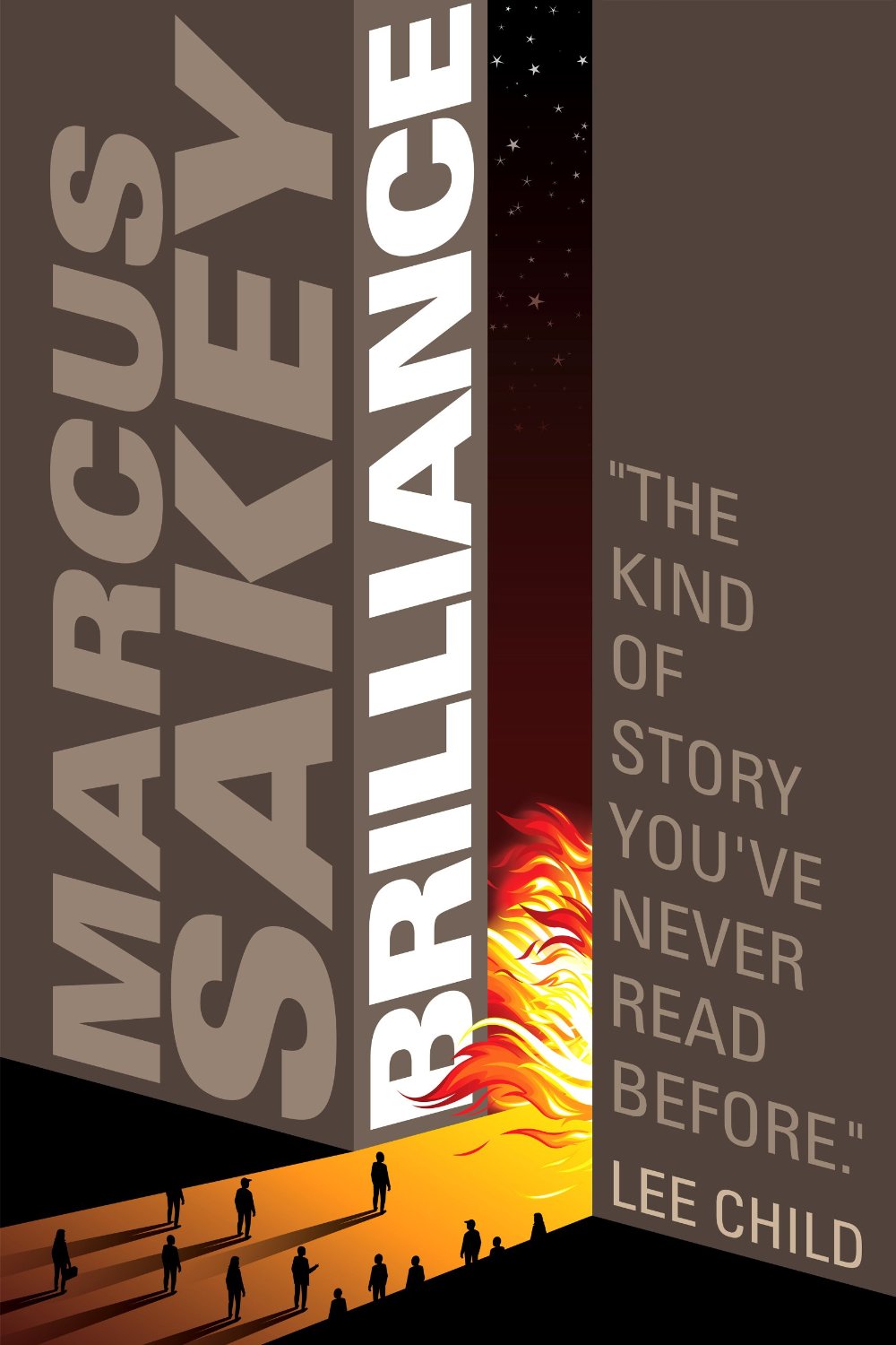 Brilliance Marcus Sakey.jpg