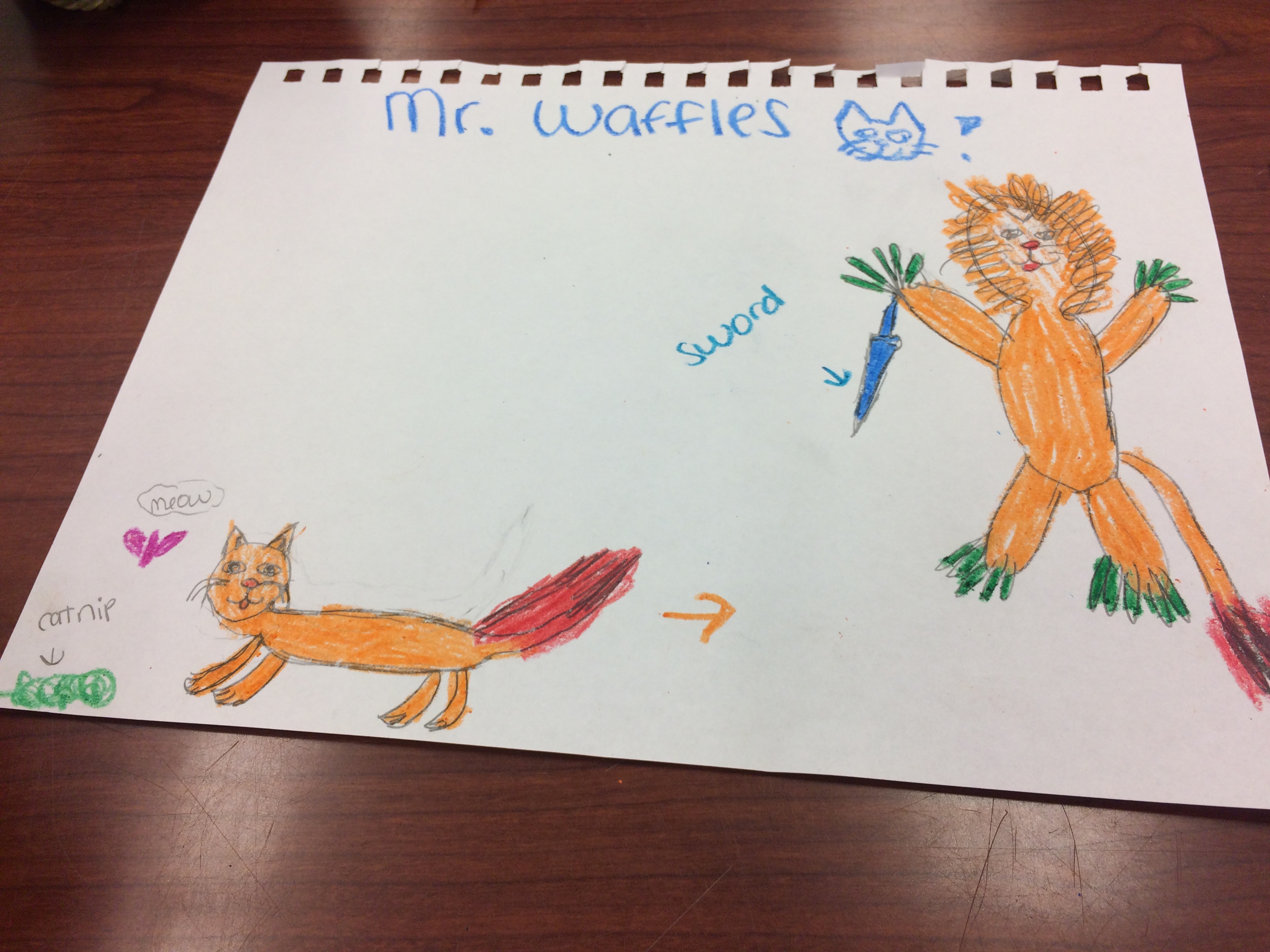 [Image is a children's drawing. At the top it says "Mr. Waffles" with a cat and an exclamation point right after. Below there are two images. One is an orange cat and the second cat is a lion creature with a sword]