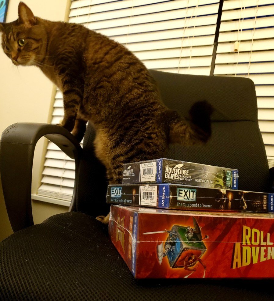 Image is a stack of three board games on a black office chair. There's a brown tabby also on the chair. The games are Roll For Adventure, Exit The Catacombs of Horror, and Adventure Games. 