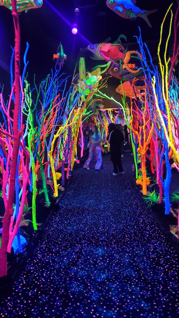 Image is a pathway that is lit by this neon trees of all colors. Pink, red, purple, yellow and green. The room is pitch black. It feels like you're in a rave.