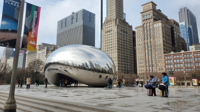 Image is a photo of a grey bean like sculpture set against the background of the city's towers. 