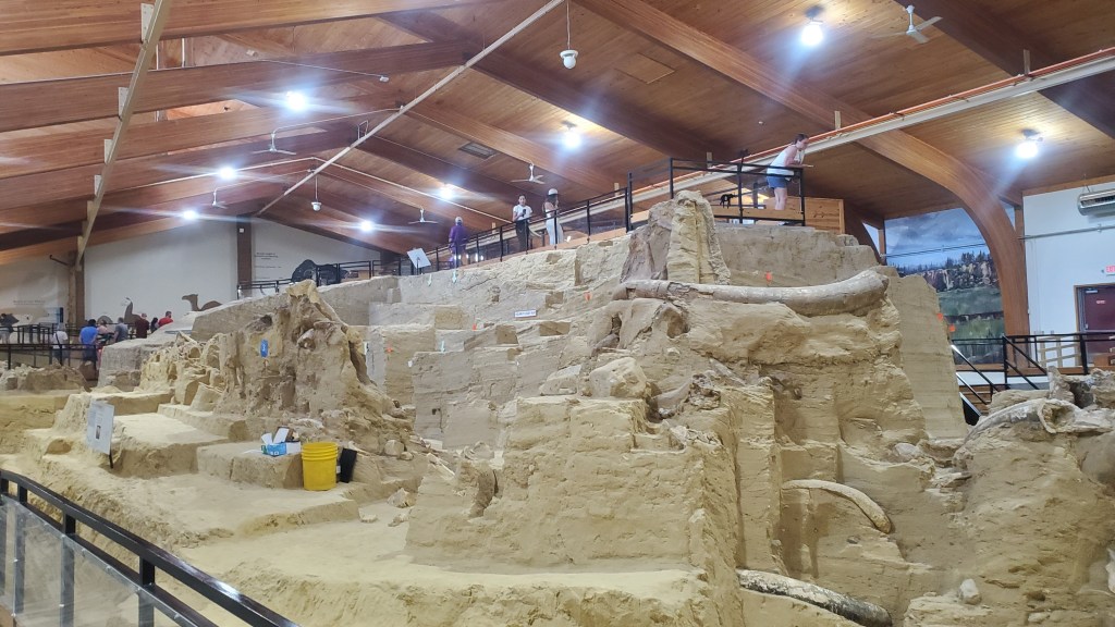 Image is a photo of a dig site that's indoors. There's a wooden roof and yellow, bright brown dust. There are several bones that can be seen on the various dirt structures. 