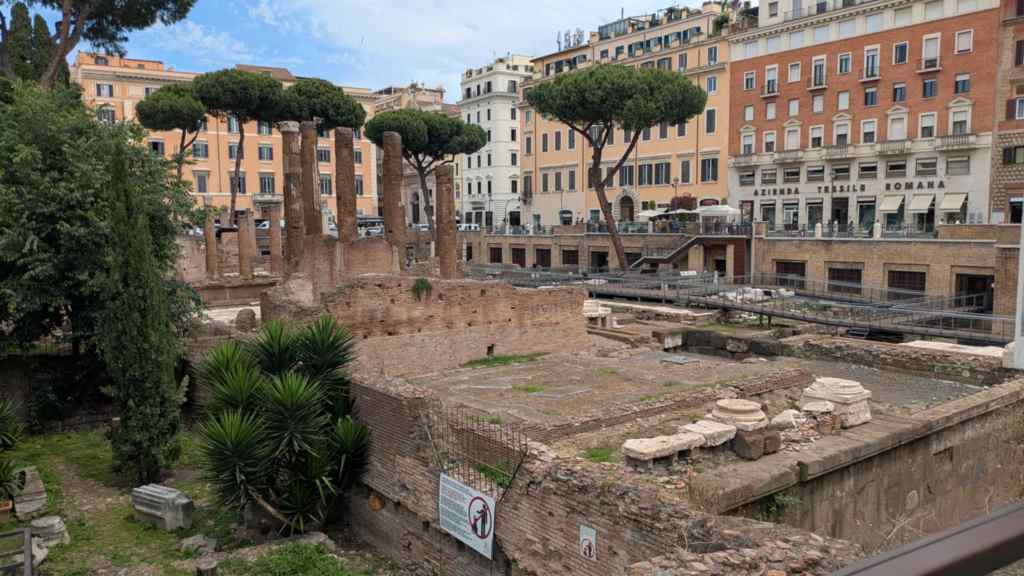 Photo is the grounds of the Cat Sanctuary. It shows brown brick barriers that look slightly damaged. There are pillars that were standing from a building that is no longer there. There are plants growing within the remains as well. 